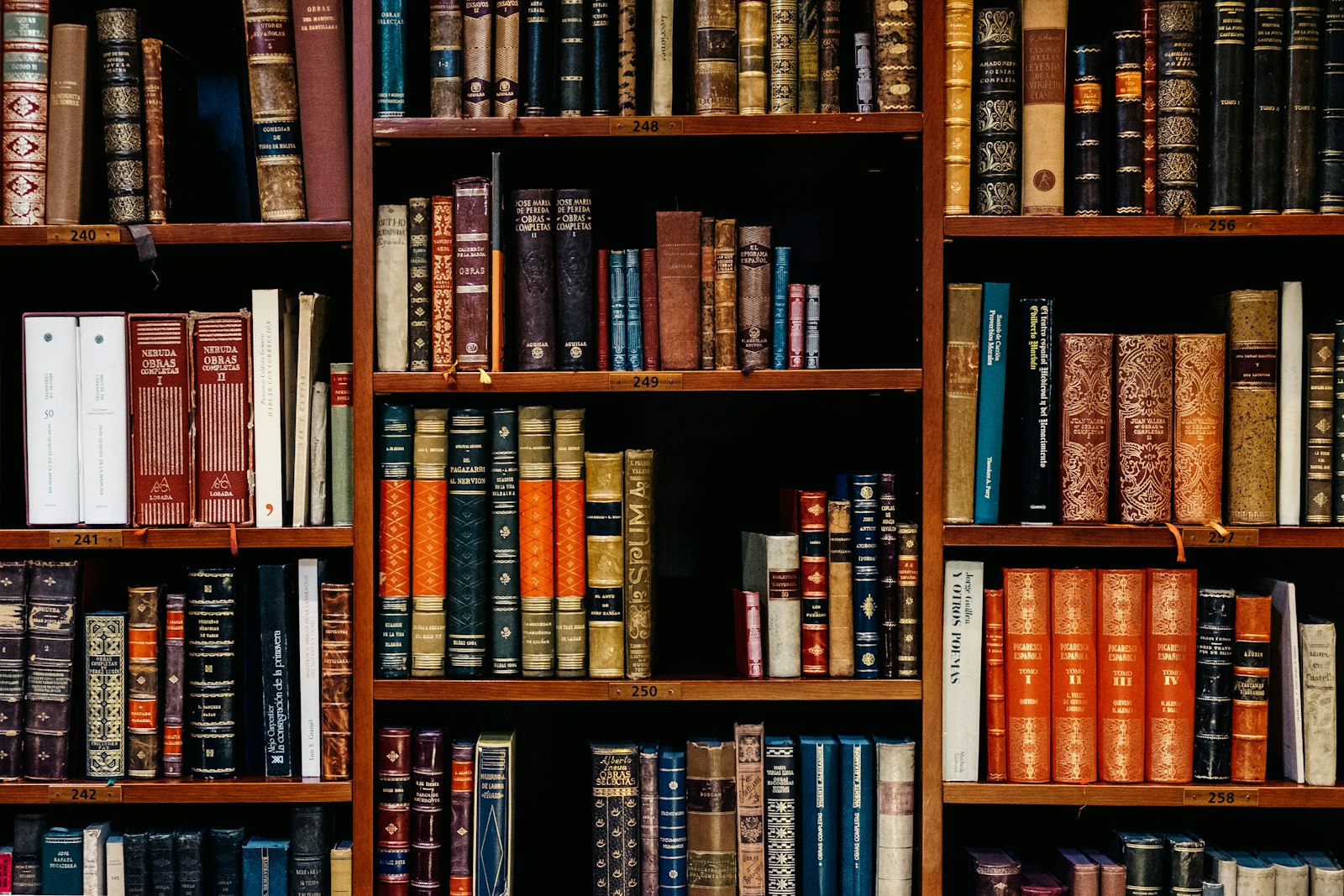 Biblioteca con estantes de historia intelectual latinoamericana.